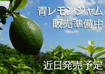 レッカーバロンの国産　［尾道しまなみ］瀬戸内青レモンジャム
