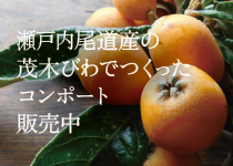 旬のびわコンポート 有機ローズヒップ入り販売中