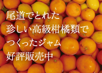 瀬戸内尾道で取れた珍しい柑橘類でつくったジャム販売中