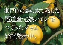 瀬戸内の島の木で熟した尾道産完熟レモンでつくったジャム好評発売中。