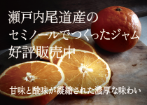 瀬戸内尾道産のセミノールでつくったジャム好評販売中