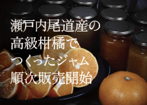尾道産珍しい高級柑橘で作ったジャム販売開始