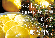 レッカーバロンの尾道産完熟レモンジャム発売開始