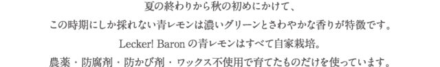 LB_sozai_aolemon01-2.png