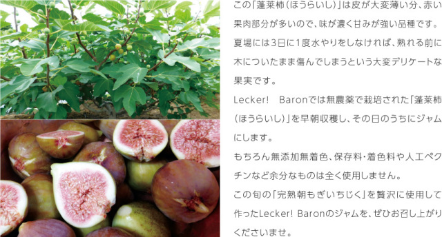 LB_sozai_fig2main3.jpg