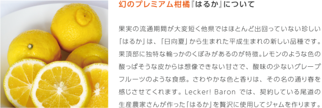 LB_sozai_haruka01.png