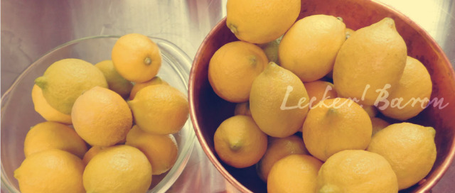 LB_sozai_lemon01-1.jpg