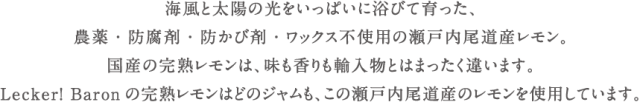 LB_sozai_lemon01-2.png