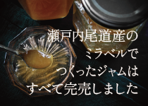 旬のミラベルと完熟レモンのジャム販売終了