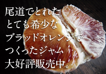 レッカーバロンの尾道産ブラッドオレンジのジャム大好評販売中！