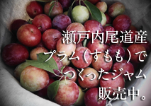 レッカーバロンの尾道産プラム（すもも）のジャム大好評販売中！