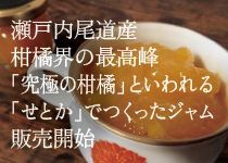 尾道産　柑橘界の最高峰「究極の柑橘」といわれる「せとか」でつくったジャム販売開始